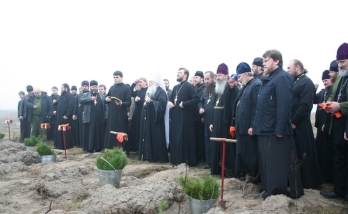 На Волині священики висадили понад 1025 сосен